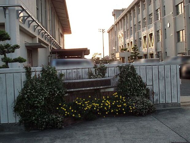 大成中学校 510m