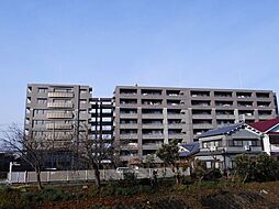 ルイシャトレ大和八木