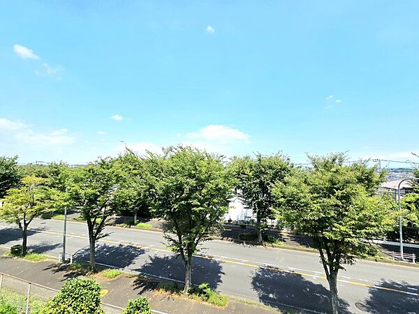 室内より眺望