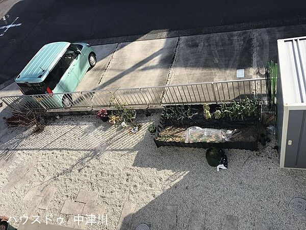 庭