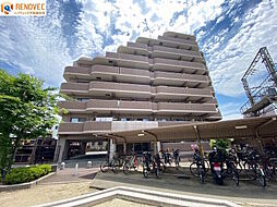 ディオ・フェルティ白鷺