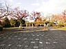 周辺：【田園公園】◆約137ｍ◆徒歩約2分