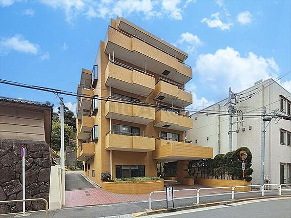 総戸数31戸