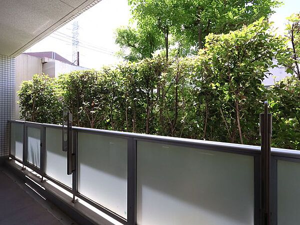 1階ですが植栽が目隠しになり、外から見えづらく安心です。