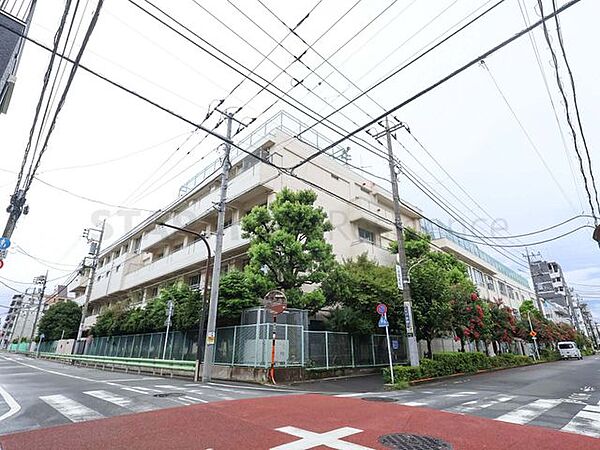 大田区立矢口小学校 600m