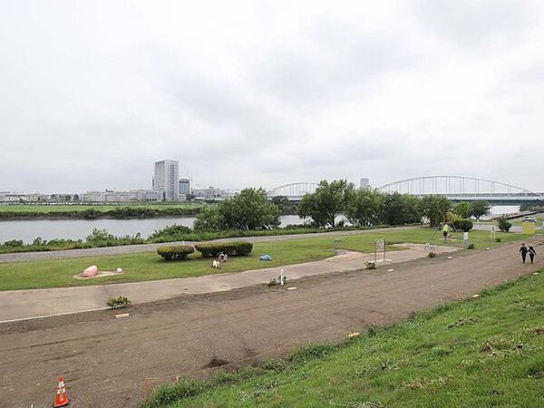 多摩川河川敷ブタ公園 110m