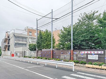 世田谷区立桜小学校 500m
