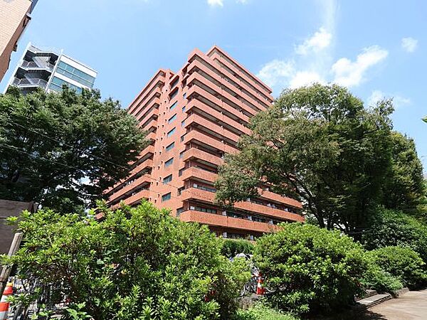 外観：313004878264