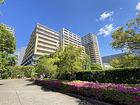 管理体制良好な総戸数293戸の大規模マンション