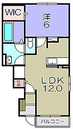 グレイスコート 1LDKの間取図画像