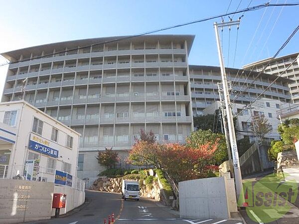 画像28:神戸海星病院 997m