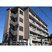 マイティプラザ３ 3階 築24年8ヶ月の賃貸物件