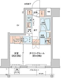 アジールコート新高円寺 8階/-