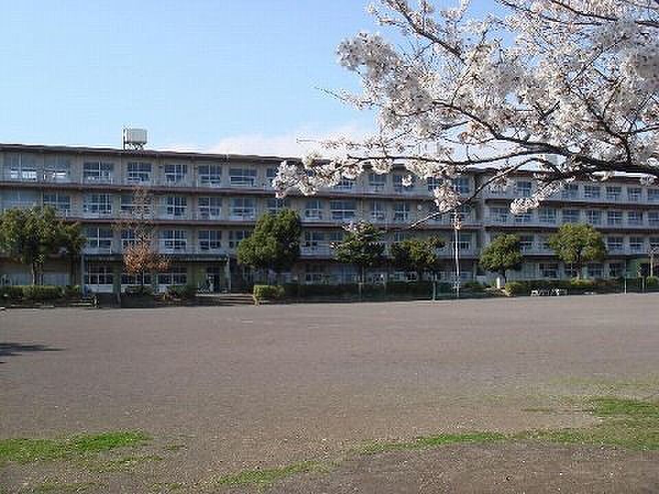 Image 6