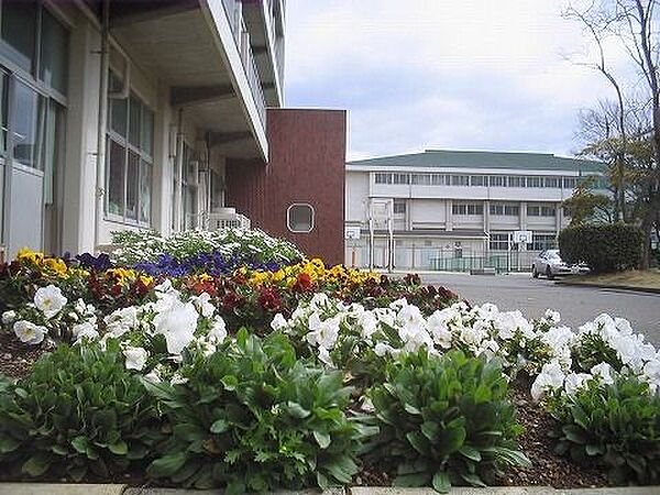 三島市立南中学校 徒歩9分。 700m