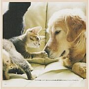 プランドール角木Ａの賃貸物件