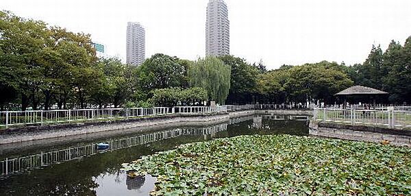 画像5:猿江恩賜公園[70m]