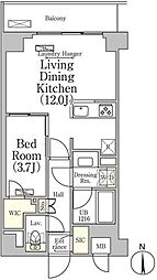 ベルファース大森山王 1階1LDKの間取り