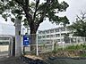周辺：若園小学校まで徒歩約10分