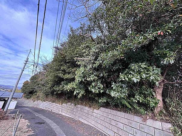外観：308000167394