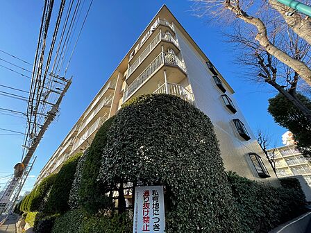 資料には掲載していない情報が、現地にはたくさんあります。是非一度、現地をご確認ください。