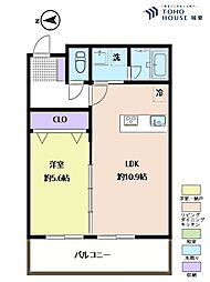 パインクレスト信濃町 1LDKの間取図画像