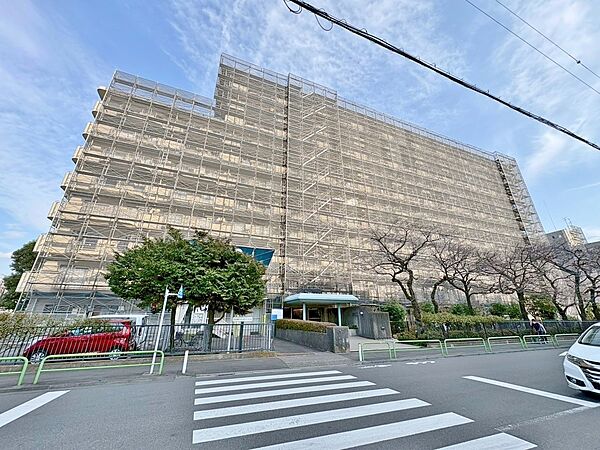 外観：313004654347