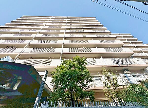 外観：313004668290