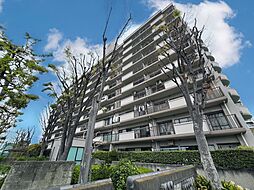 ルネ草加松原