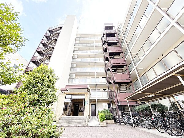 外観：313004699444