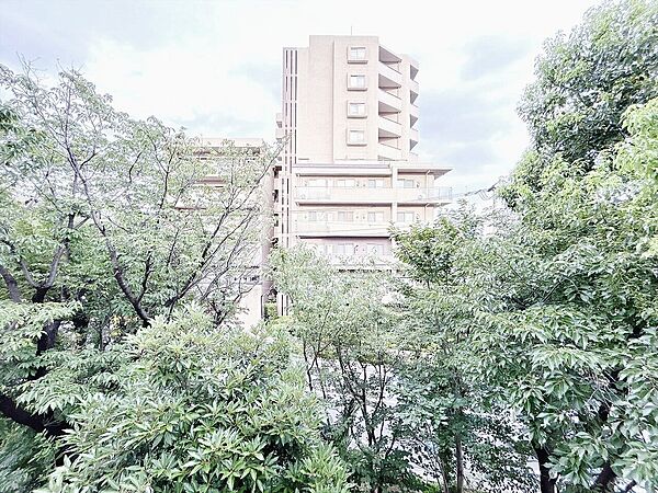 頬をなでる、優しい風を感じることが出来ます。
