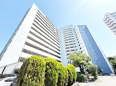 外観:資料には掲載していない情報が、現地にはたくさんあります。是非一度、現地をご確認ください。 外観:資料には掲載していない情報が、現地にはたくさんあります。是非一度、現地をご確認ください。