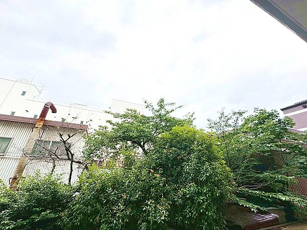窓を開けると広がる青空。心をリフレッシュして日々を過ごしていきましょう。