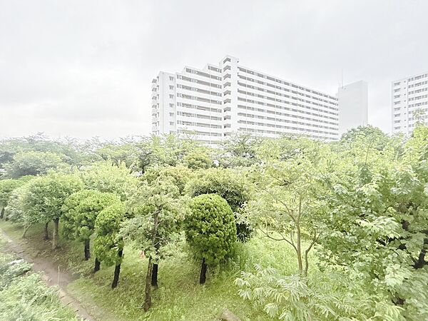 頬をなでる、優しい風を感じることが出来ます。