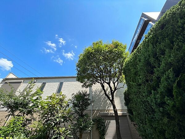 頬をなでる、優しい風を感じることが出来ます。