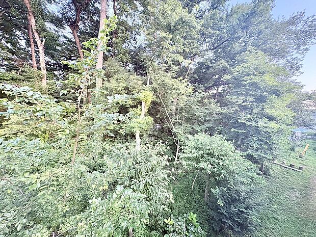 窓を開けると広がる青空。心をリフレッシュして日々を過ごしていきましょう。