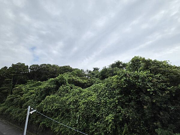窓を開けると広がる青空。心をリフレッシュして日々を過ごしていきましょう。