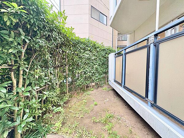 太陽の光を存分に取り込むことのできる専用庭付き。