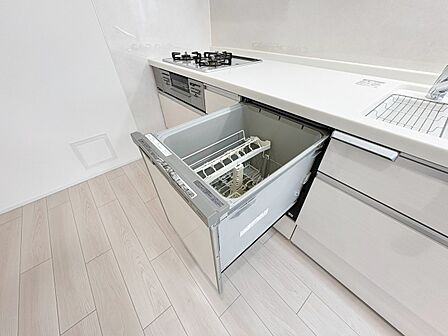 食器洗いの負担を軽減。手荒れを抑えて、節水効果も見込めます。省スペースのビルトインタイプです。