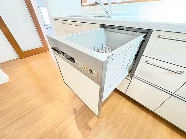 食器洗いの負担を軽減。手荒れを抑えて、節水効果も見込めます。省スペースのビルトインタイプです。