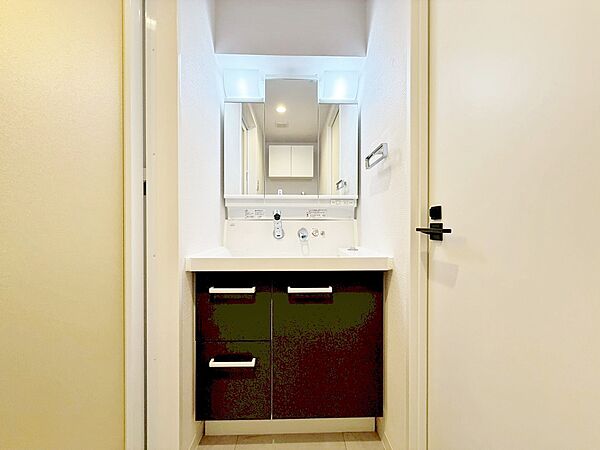 何かと物が増える場所だからこそ、スッキリと見映えの良い空間に。