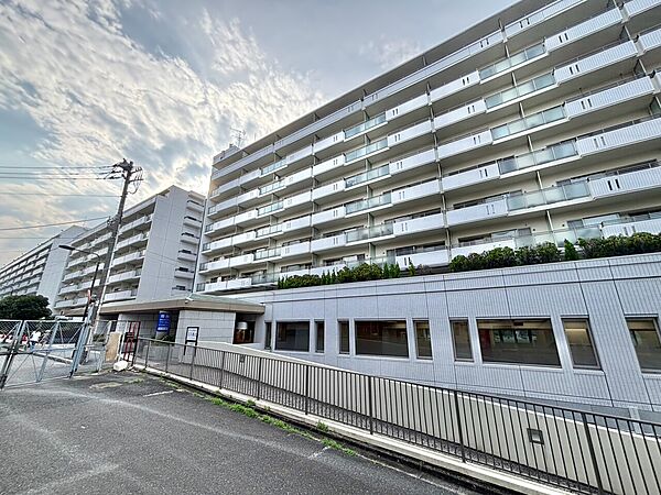 外観：313004869354