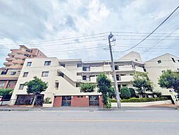 ドミール川口