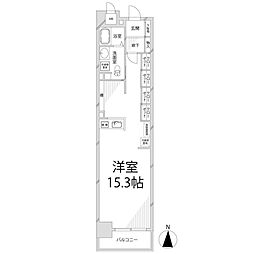 キャッスルコート西新町 2階/203