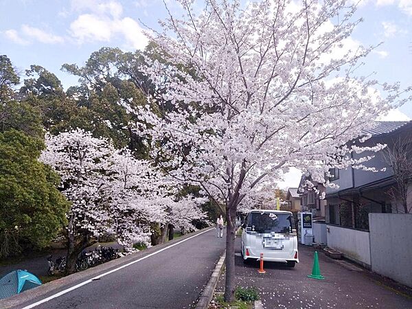 嵐山東公園まで約160ｍ(徒歩2分)