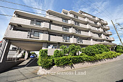 シーダム藤沢善行