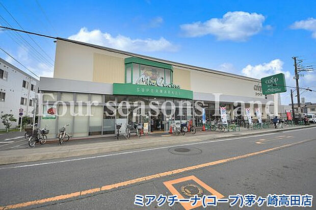 ミアクチーナ(コープ)茅ヶ崎高田店まで約533m