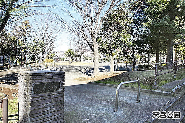 天岳公園まで約293m