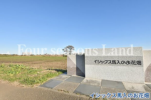 イシックス馬入のお花畑まで約910m