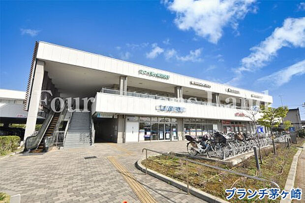 ブランチ茅ヶ崎まで約1648m